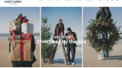 Fashion Scam sainjamemallcr.com