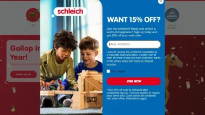 Non-Delivery Scam schleichlist.com
