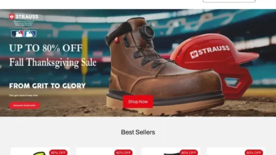 Non-Delivery Scam strausseu.com