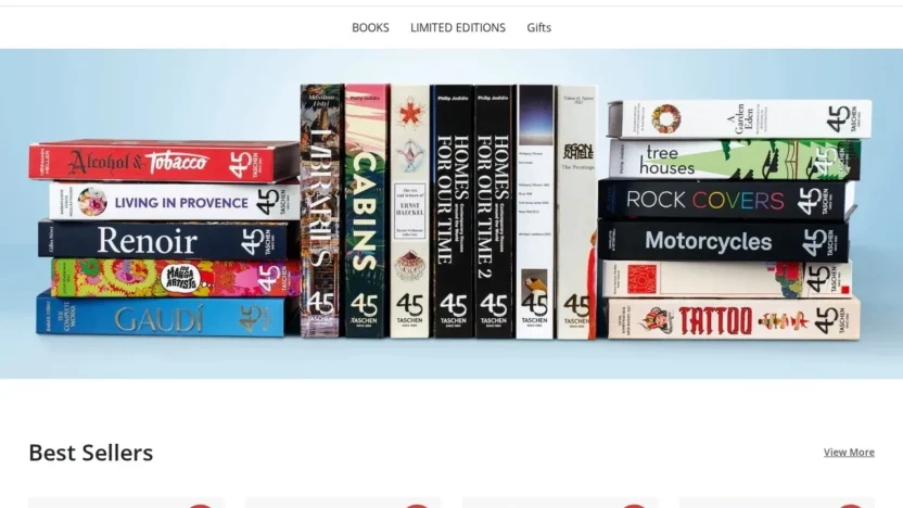 Non-Delivery Scam taschensales-eu.shop