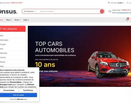 Screenshot of Automobile Scam website 23610