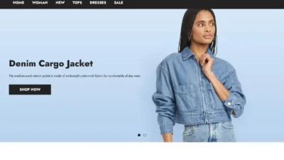 Non-Delivery Scam vikohandbag.com