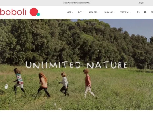 Screenshot of Non-Delivery Scam website 24242