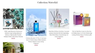 Non-Delivery Scam brandskincare.store