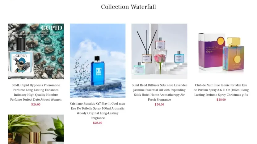 Non-Delivery Scam brandskincare.store