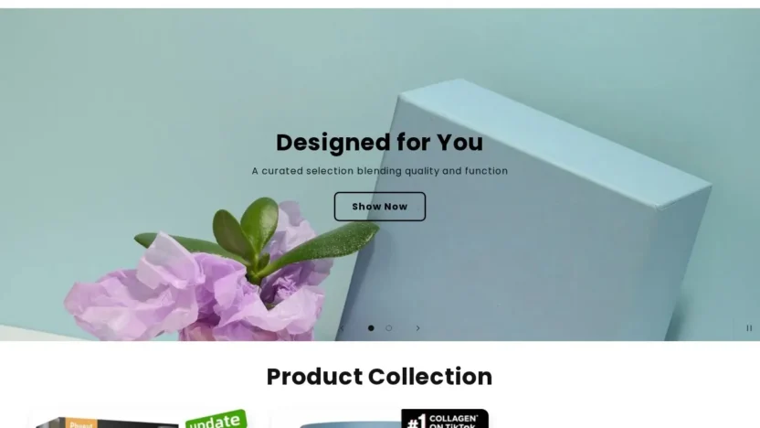 Non-Delivery Scam echocraft.shop