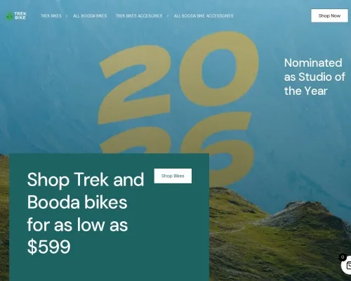 Screenshot of Automobile Scam website 24410