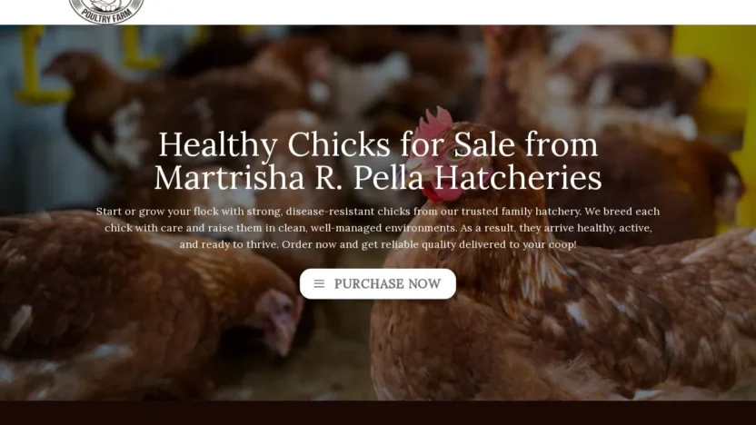 Non-Delivery Scam martrishahatchery.com