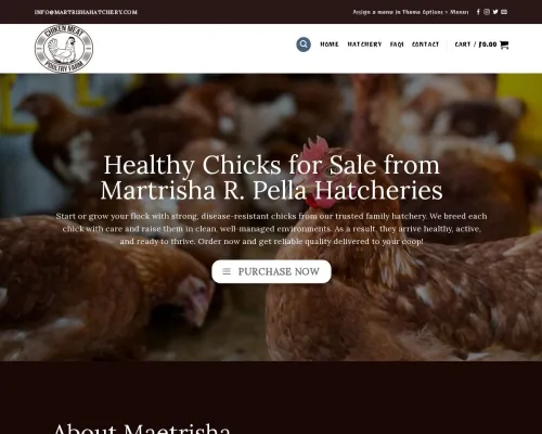 Screenshot of Non-Delivery Scam website 23861