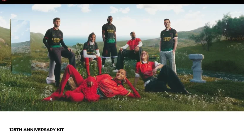 Non-Delivery Scam milan-online.shop