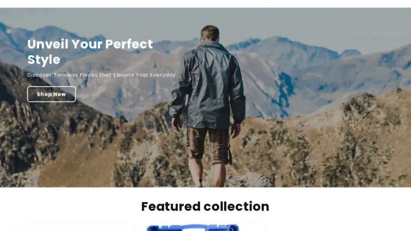 Non-Delivery Scam silvervale.shop