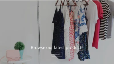 Fashion Scam vitaltop.store