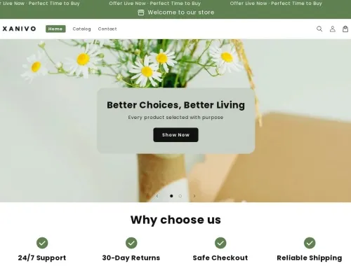 Screenshot of Non-Delivery Scam website 23990