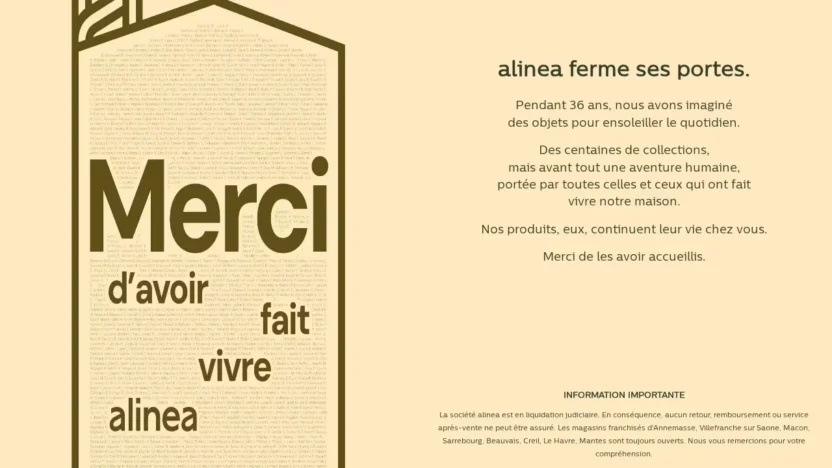 Non-Delivery Scam alinesale.shop