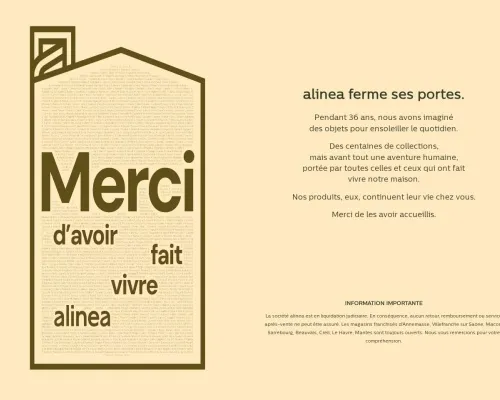 Screenshot of Non-Delivery Scam website 25345