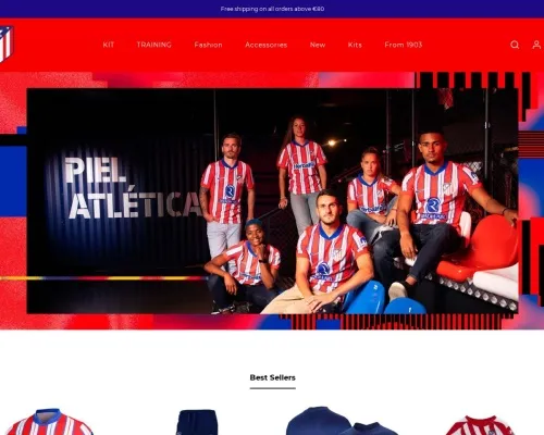 Screenshot of Non-Delivery Scam website 25164