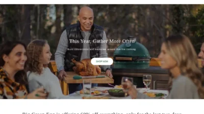 Fashion Scam biggreeneg-us.shop