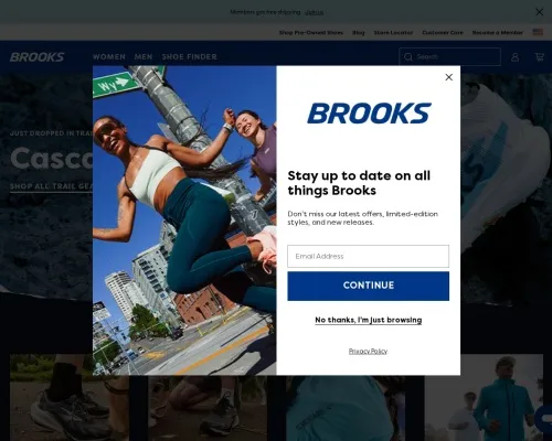 Screenshot of Non-Delivery Scam website 25435