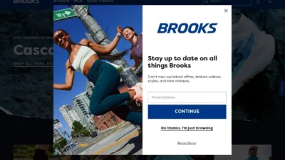 Non-Delivery Scam brookwebshop.com