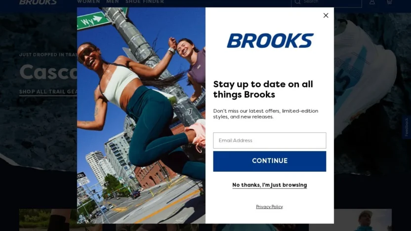 Non-Delivery Scam brookwebshop.com