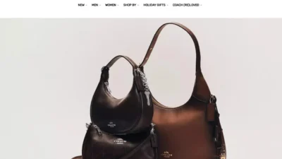 Fashion Scam coach-sale-store.shop