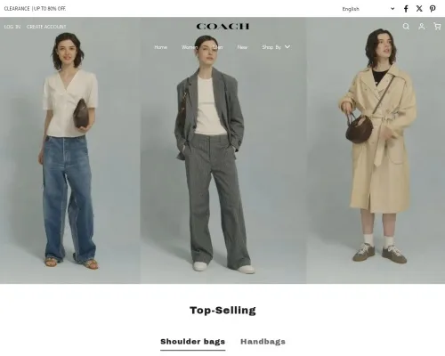 Screenshot of Fashion Scam website 25245