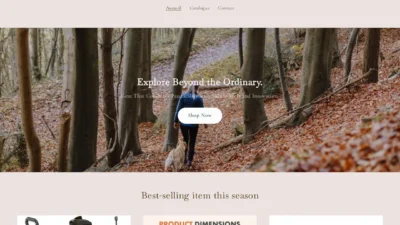 Non-Delivery Scam dalenor.shop