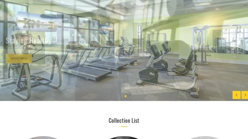 Non-Delivery Scam elanmomentum.com