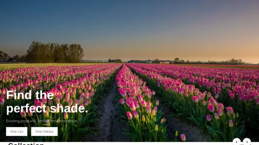 Non-Delivery Scam endurasell.shop