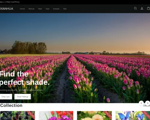 Screenshot of Non-Delivery Scam website 24831