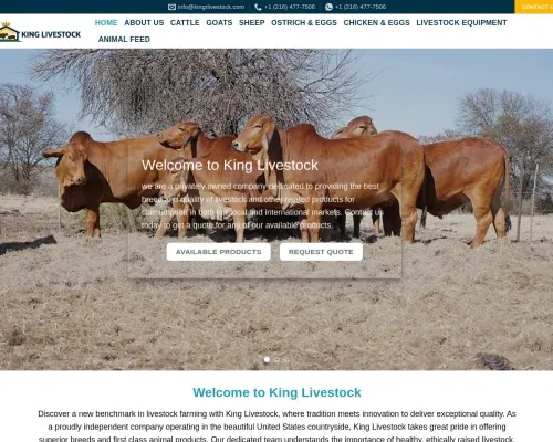 Screenshot of Non-Delivery Scam website 25095