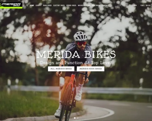 Screenshot of Automobile Scam website 25254