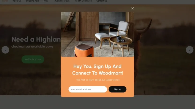 Non-Delivery Scam minihighlanderfarm.com