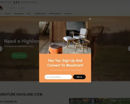 Screenshot of Non-Delivery Scam website 25089