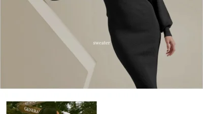 Fashion Scam noahgarmentfactory.shop