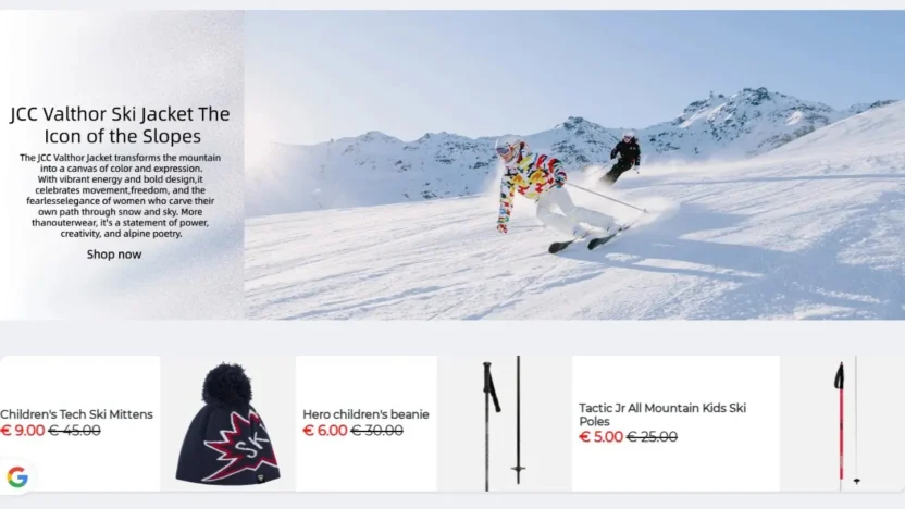 Non-Delivery Scam online-rossignol.shop