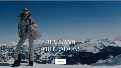 Non-Delivery Scam perfectmomentsale.shop