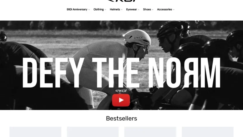 Fashion Scam rideekoi.shop