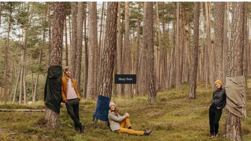 Non-Delivery Scam salewasell.shop