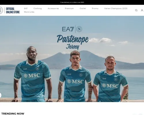 Screenshot of Non-Delivery Scam website 24795