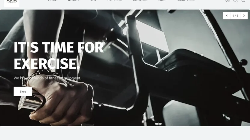 Non-Delivery Scam swimshirt681.site