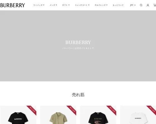 Screenshot of Fashion Scam website 26208