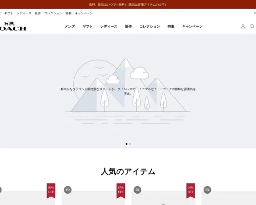 Screenshot of Non-Delivery Scam website 26220