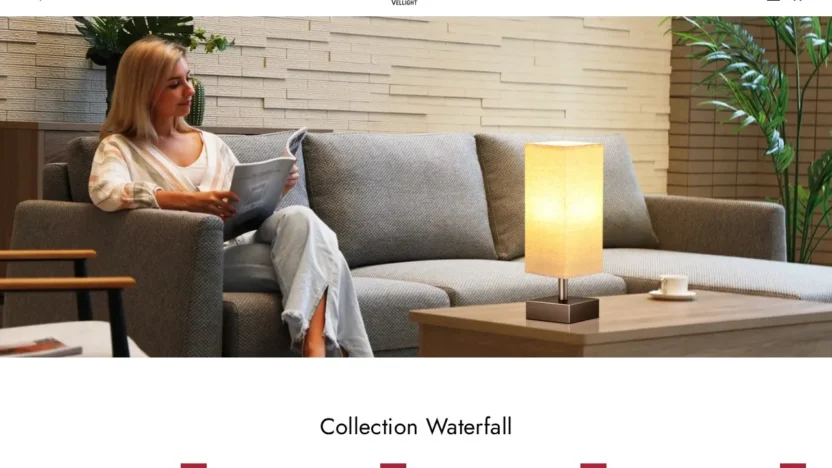 Non-Delivery Scam vellight.shop