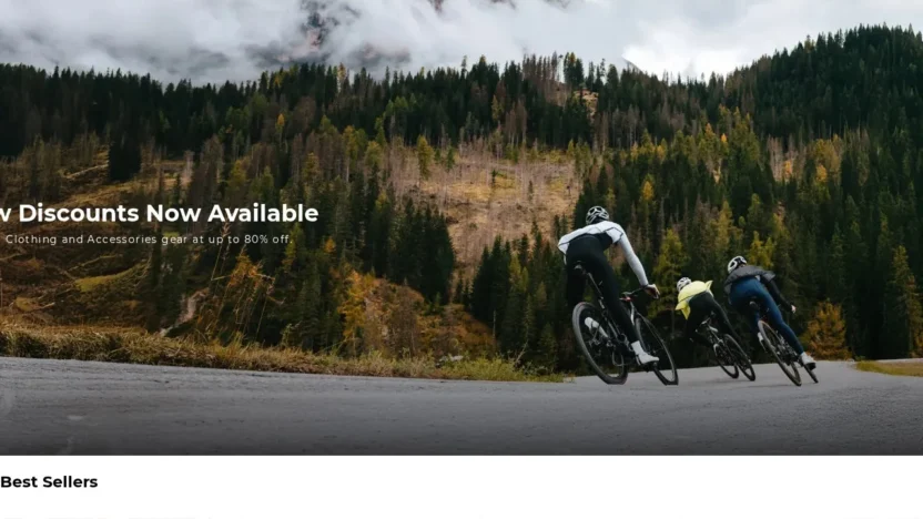 Non-Delivery Scam castelli-clothingsale.shop