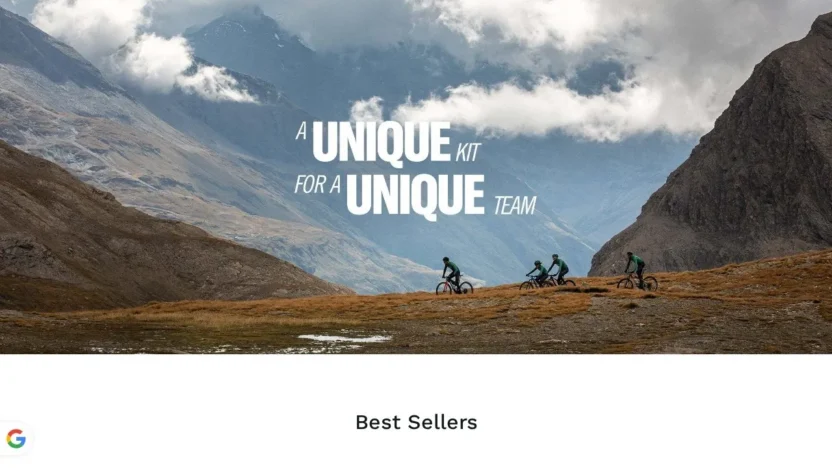 Non-Delivery Scam gobik-vipshore.shop
