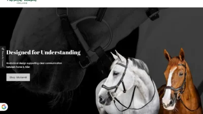 Non-Delivery Scam horsewares-sale.top