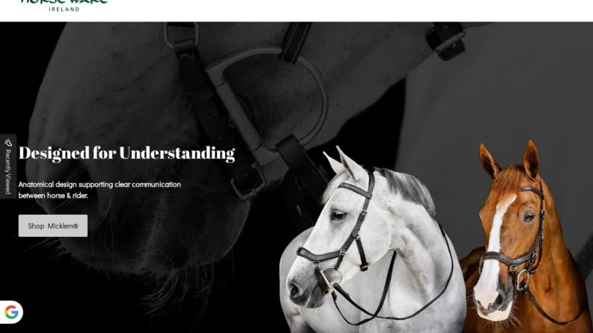 Non-Delivery Scam horsewares-sale.top