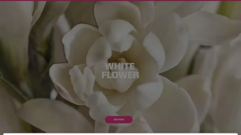 Non-Delivery Scam hudabeauty.com