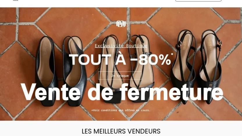 Non-Delivery Scam minelliofficiel.com